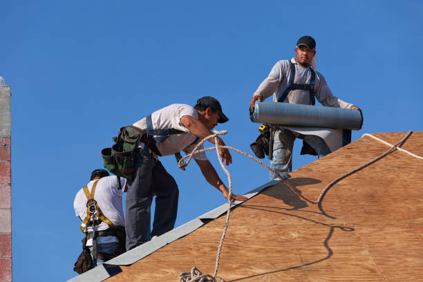 Best Roof Gutter Cleaning  in Concordia, NJ